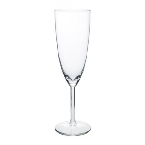 Champagne Flute 21cl £0.15